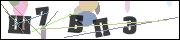 ������ �� �������������� ���������